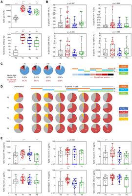 Antigen-specific T helper cells and cytokine profiles predict intensity and longevity of cellular and humoral responses to SARS-CoV-2 booster vaccination